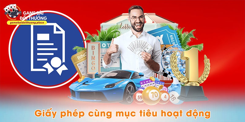 Giấy phép cùng mục tiêu hoạt động